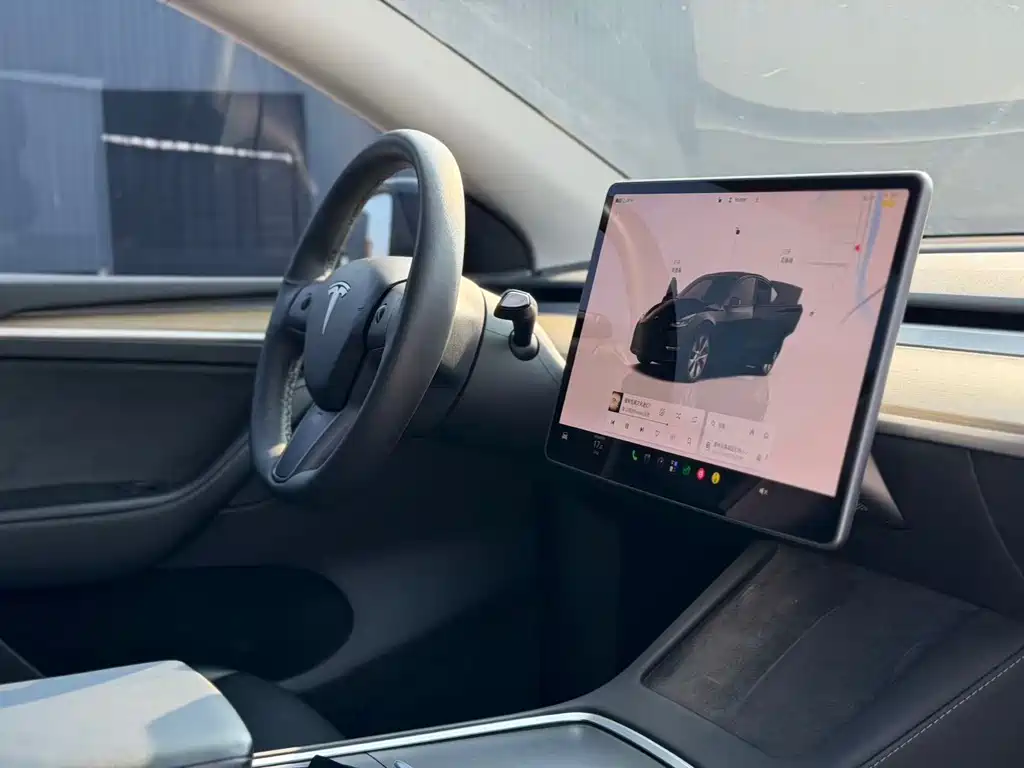 Tesla Model Y — миниатюра 12