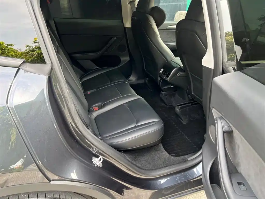 Tesla Model Y — миниатюра 10