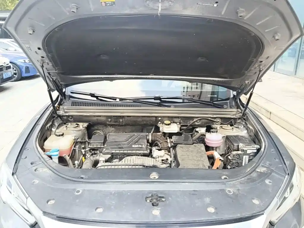 BYD Pro New Energy — миниатюра 20