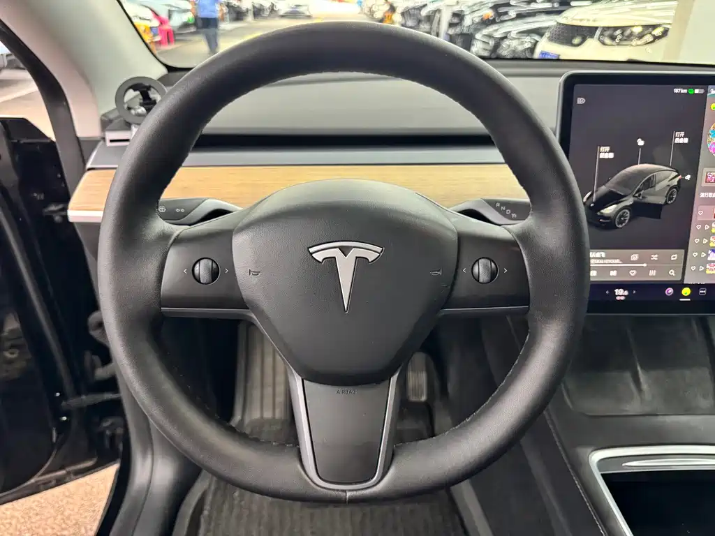 Tesla Model Y — миниатюра 13