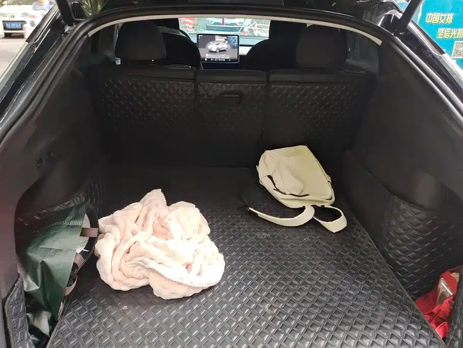 Tesla Model Y — миниатюра 4