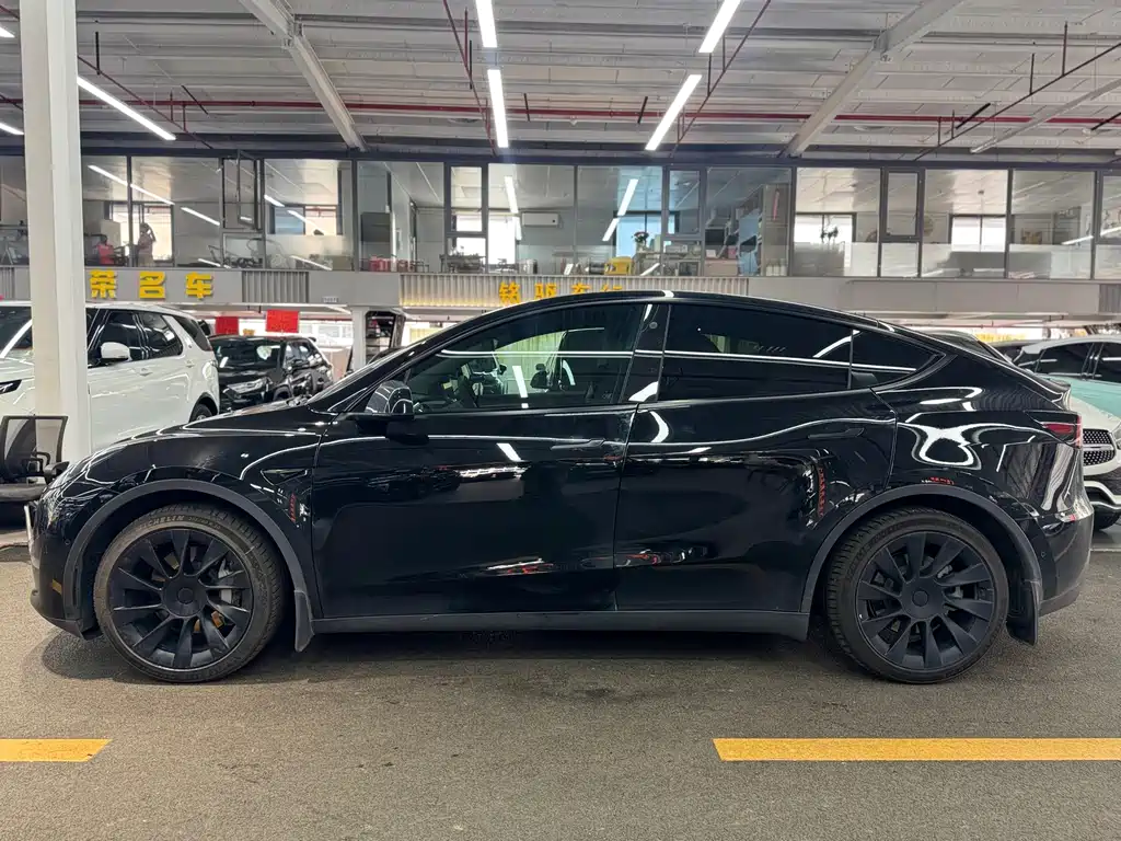 Tesla Model Y — миниатюра 3