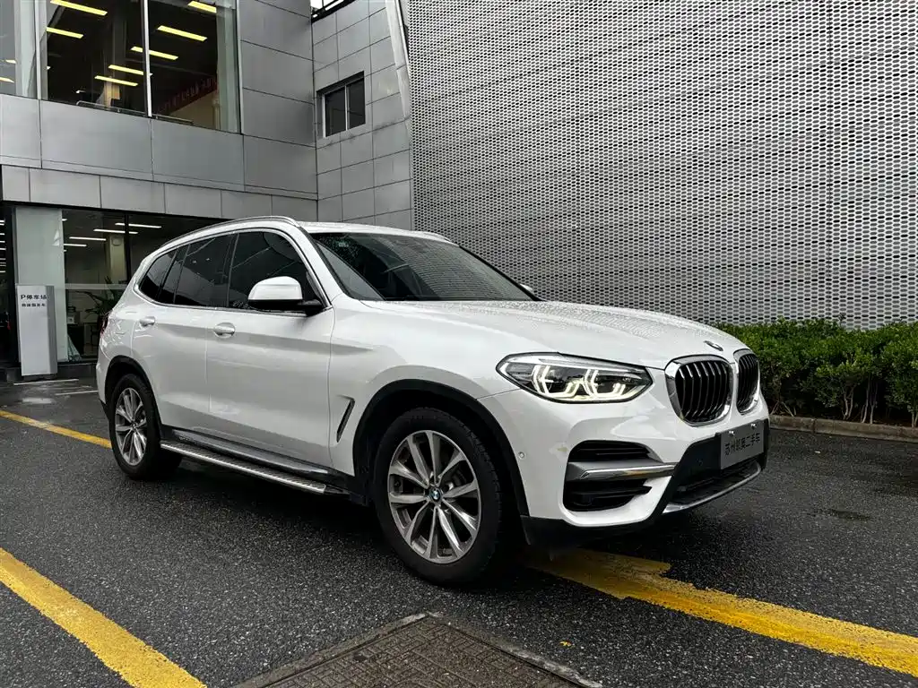 BMW X3 2019 xDrive25i Luxury