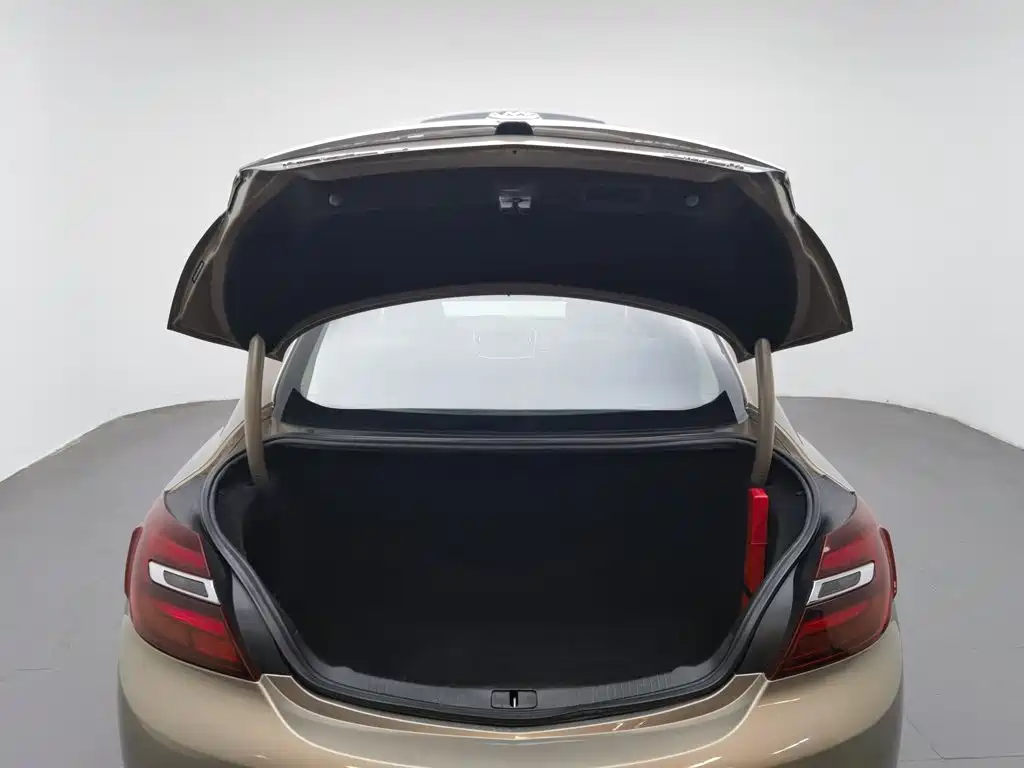 Buick Regal — миниатюра 16