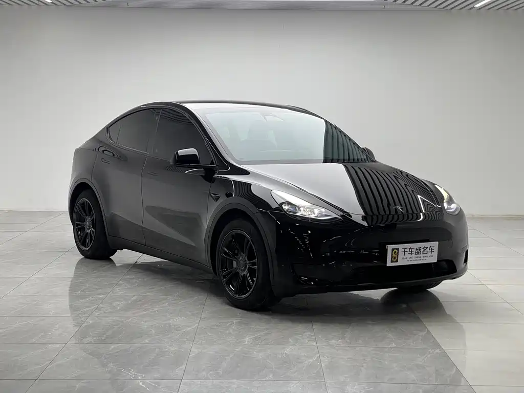 Tesla Model Y — миниатюра 3
