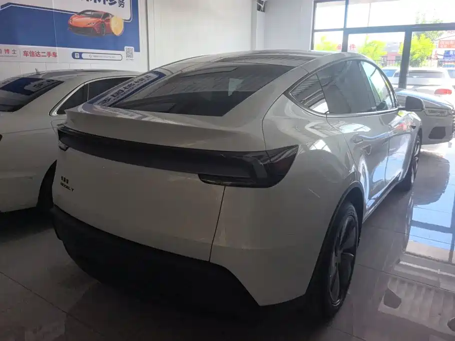 Tesla Model Y — миниатюра 3