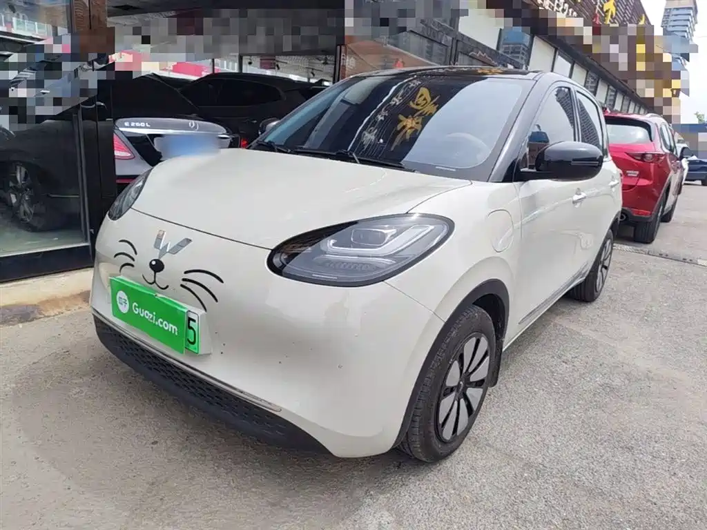 Wuling Bingo 2024