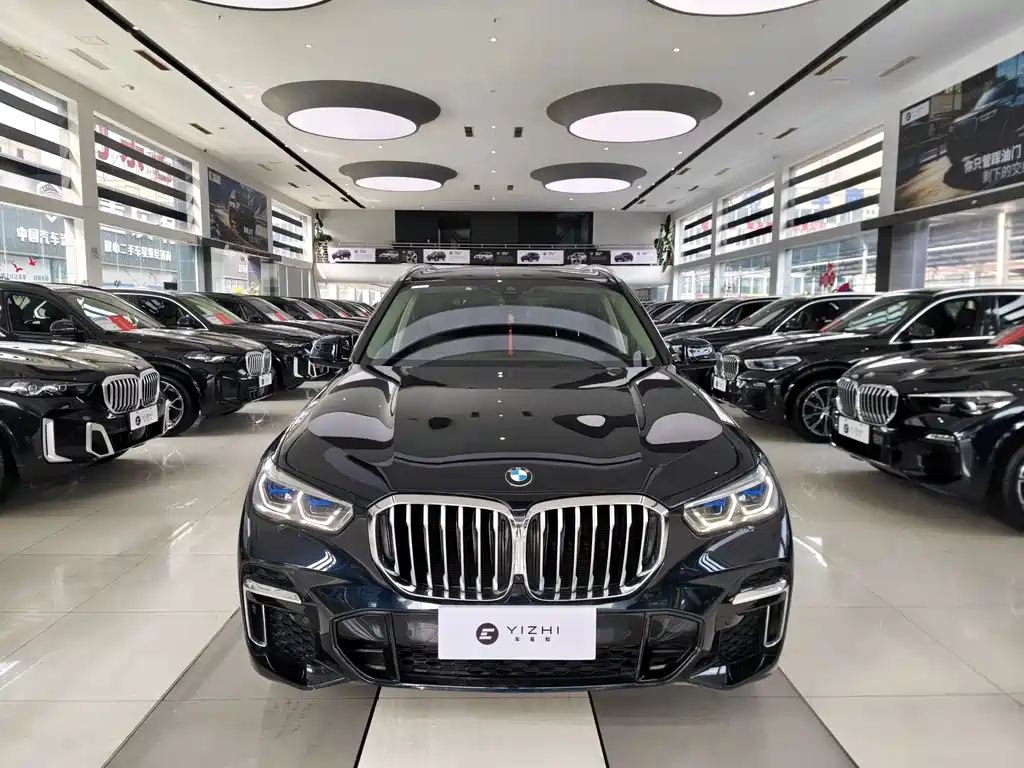 BMW X5 — миниатюра 2