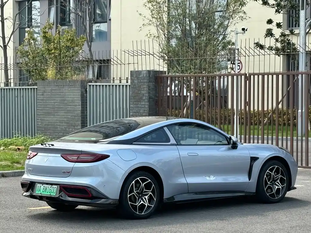 Neta Neta GT — миниатюра 18