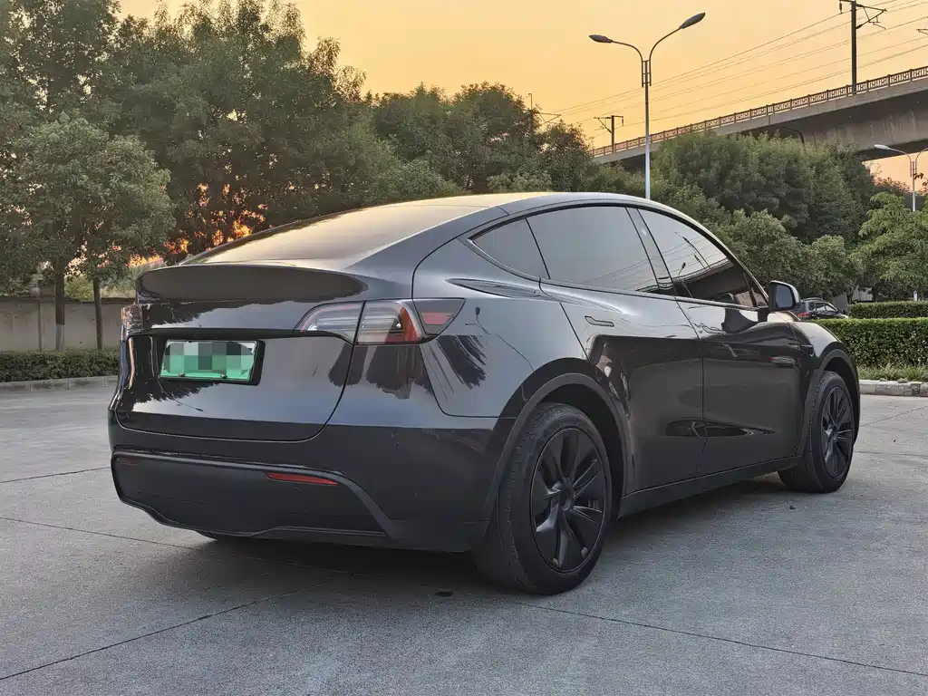 Tesla Model Y — миниатюра 9