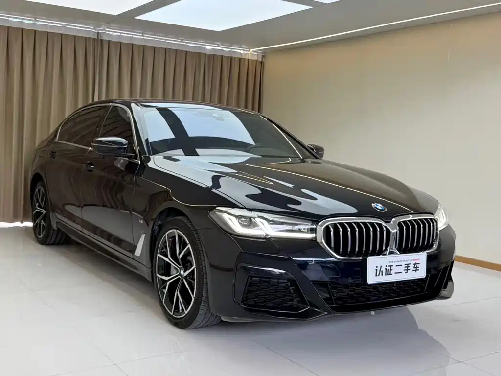 BMW 5 Series — миниатюра 10