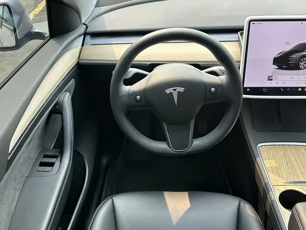 Tesla Model Y — миниатюра 9