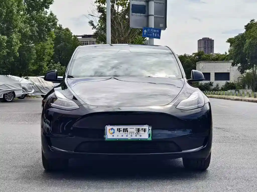 Tesla Model Y — миниатюра 2