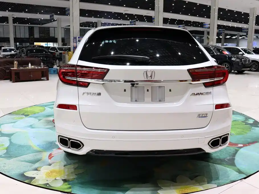 Honda Avancier — миниатюра 5