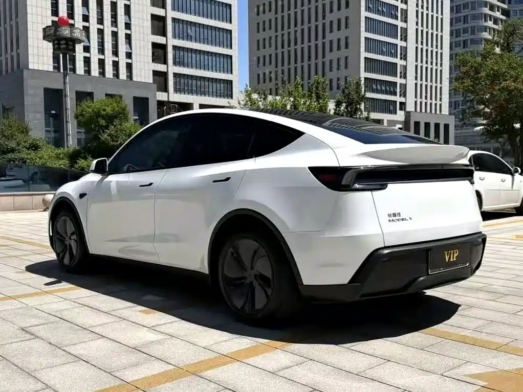 Tesla Model Y — миниатюра 7