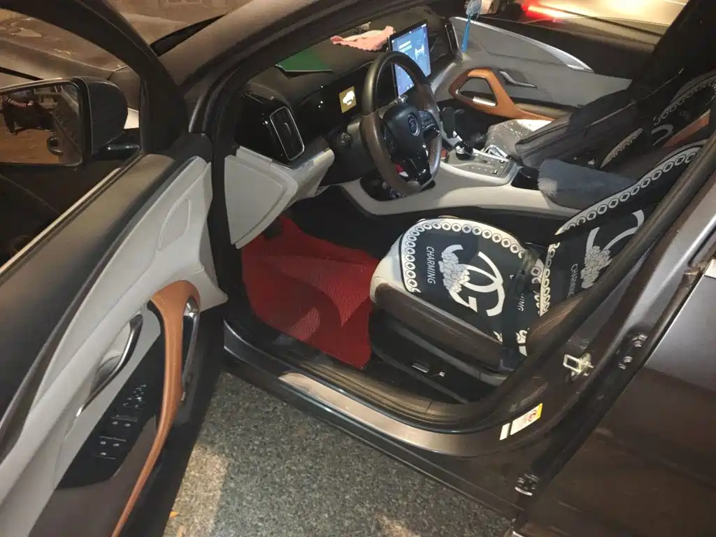 BYD Pro New Energy — миниатюра 12