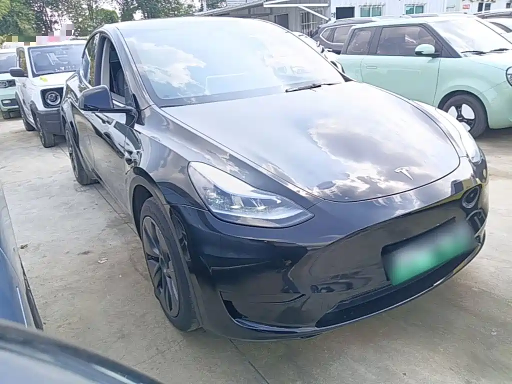 Tesla Model Y — миниатюра 4