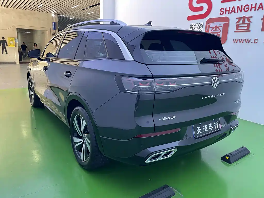Volkswagen Tavendor — миниатюра 22