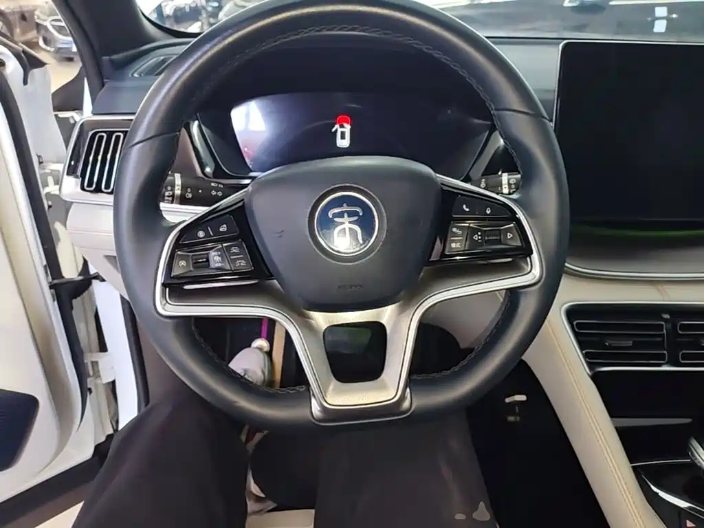 BYD PLUS New Energy — миниатюра 11