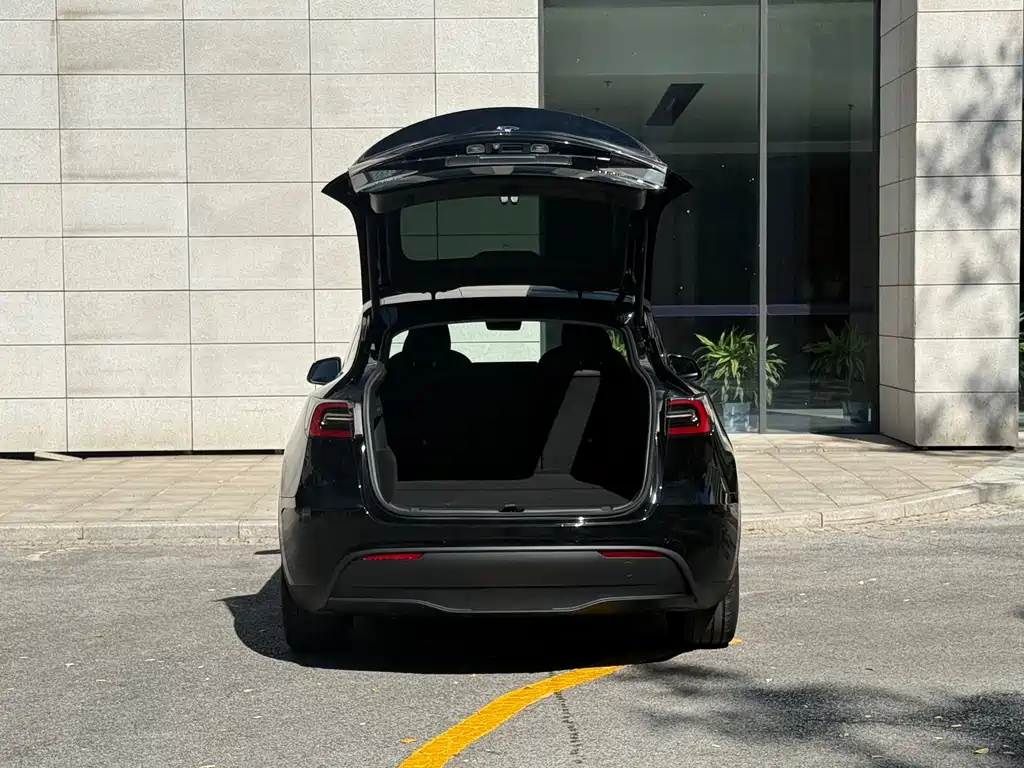 Tesla Model Y — миниатюра 16