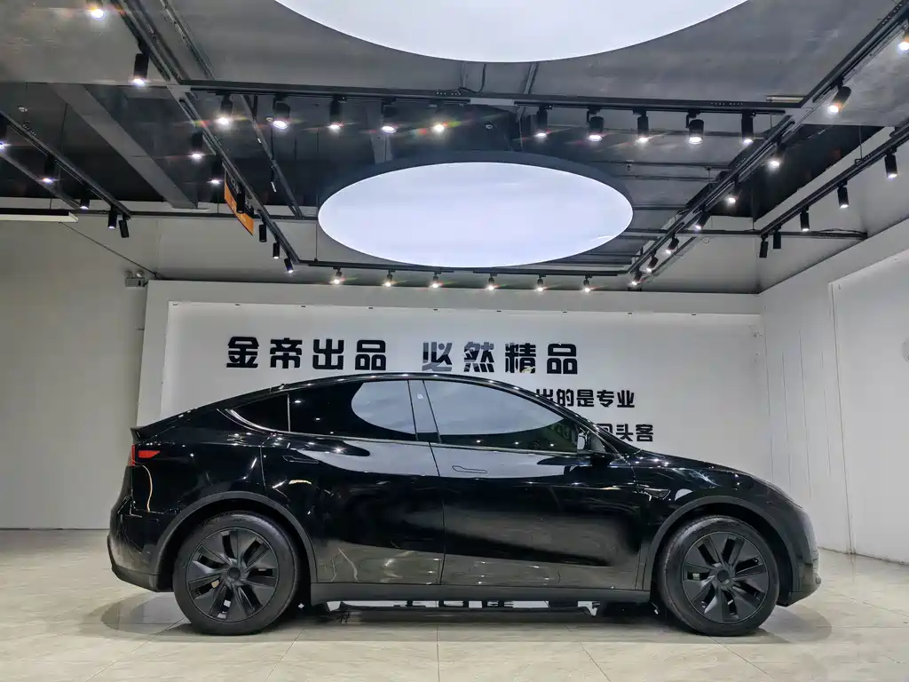 Tesla Model Y — миниатюра 16
