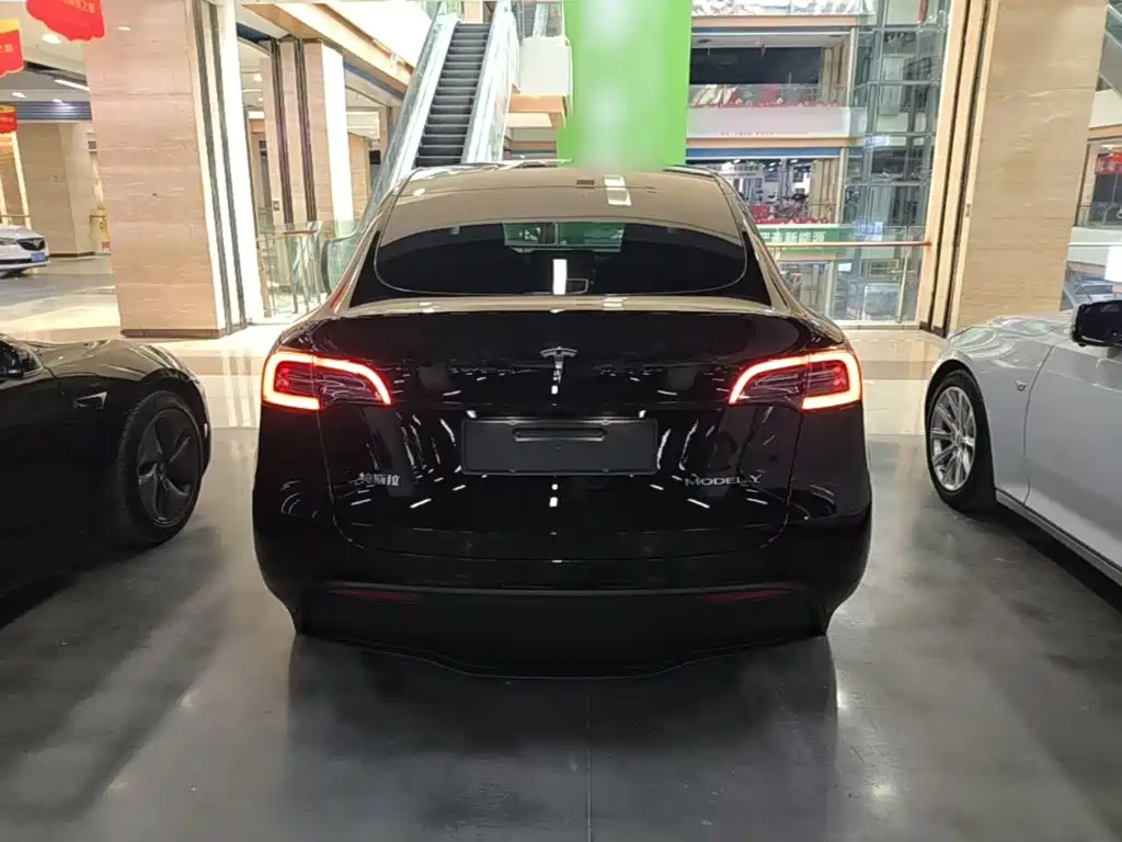 Tesla Model Y — миниатюра 6