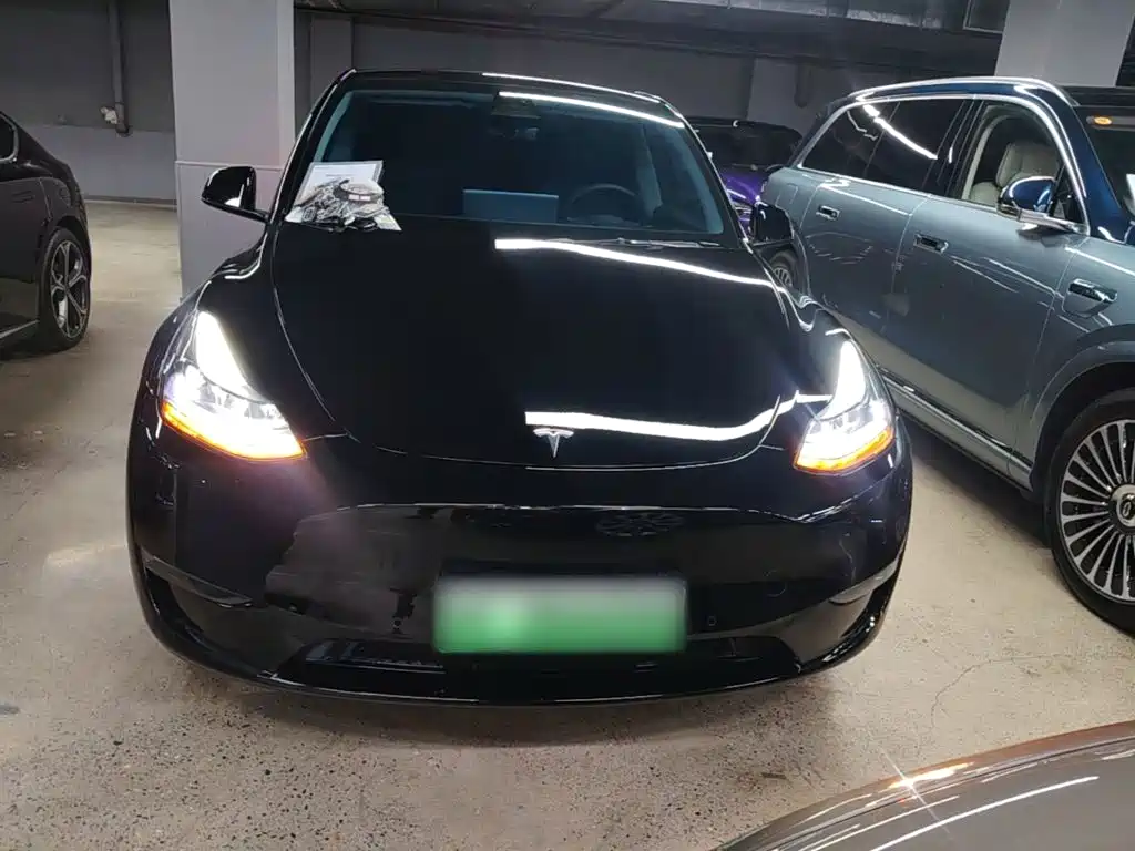 Tesla Model Y — миниатюра 3