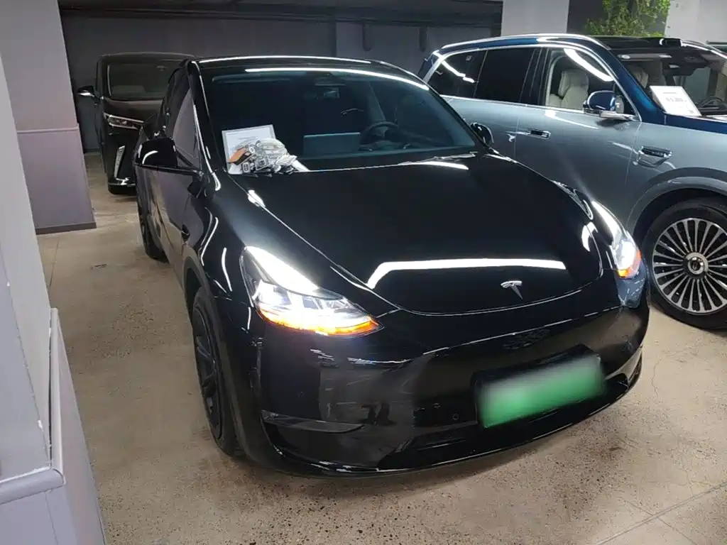 Tesla Model Y — миниатюра 4