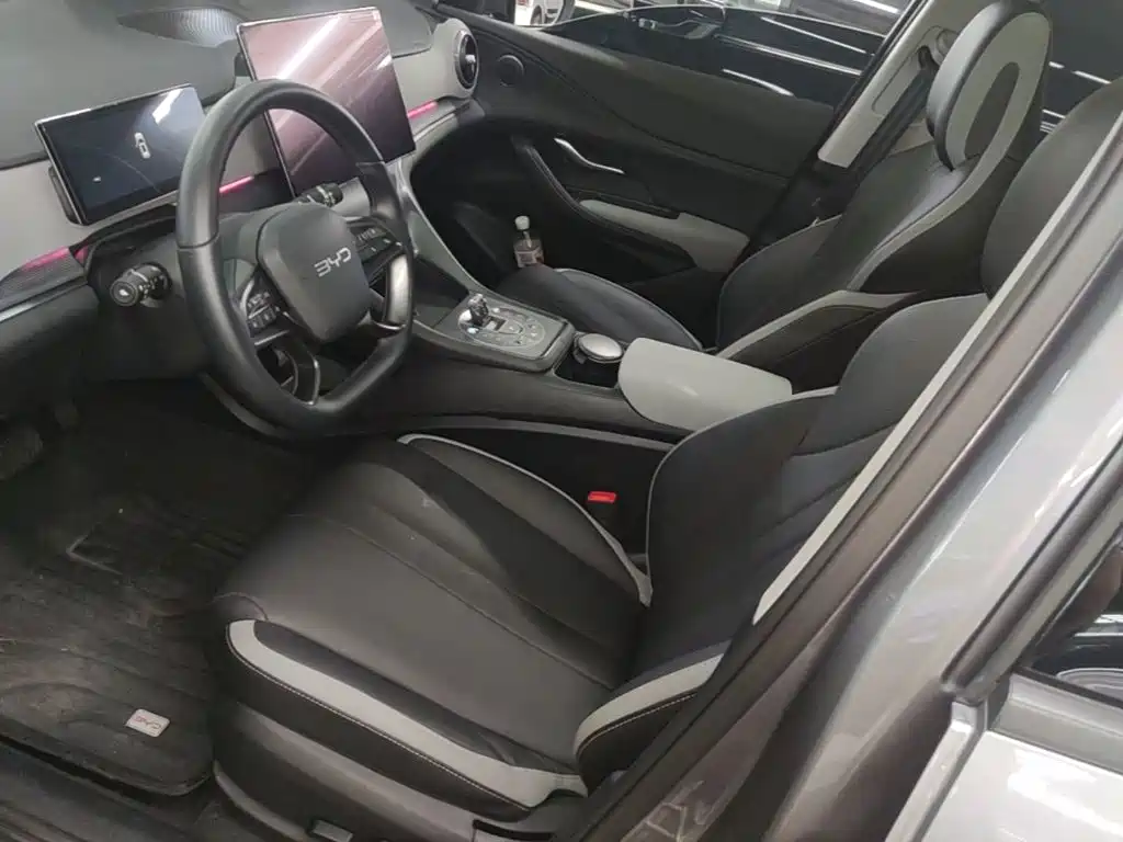 BYD Sealion 05 DM-i — миниатюра 15