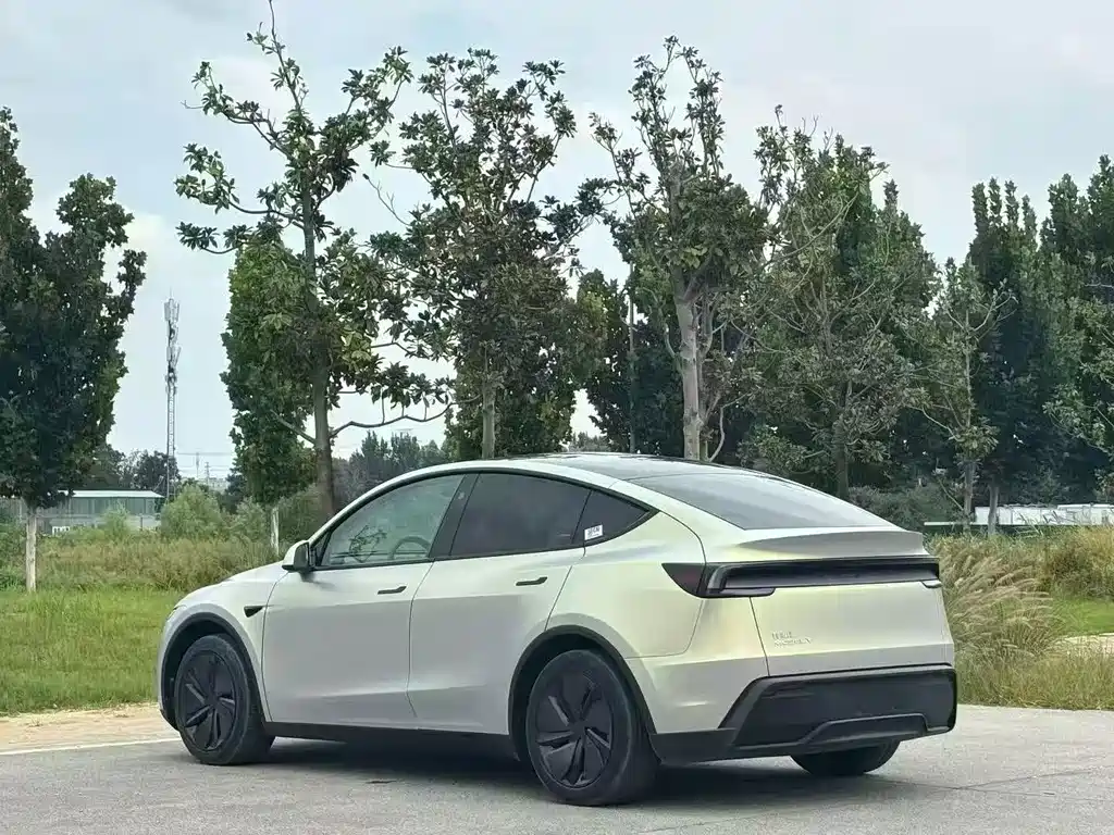 Tesla Model Y — миниатюра 9