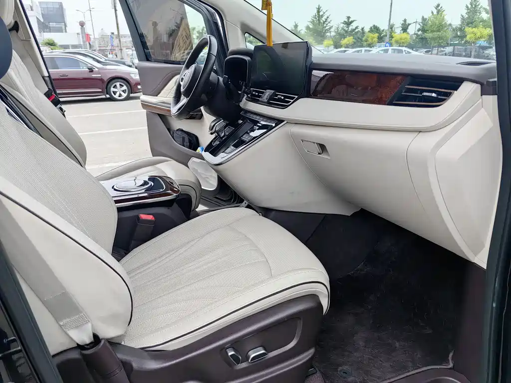 Hongqi HQ9 2023 2.0T
