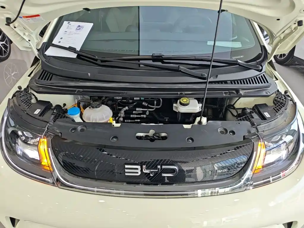 BYD Dolphin — миниатюра 20
