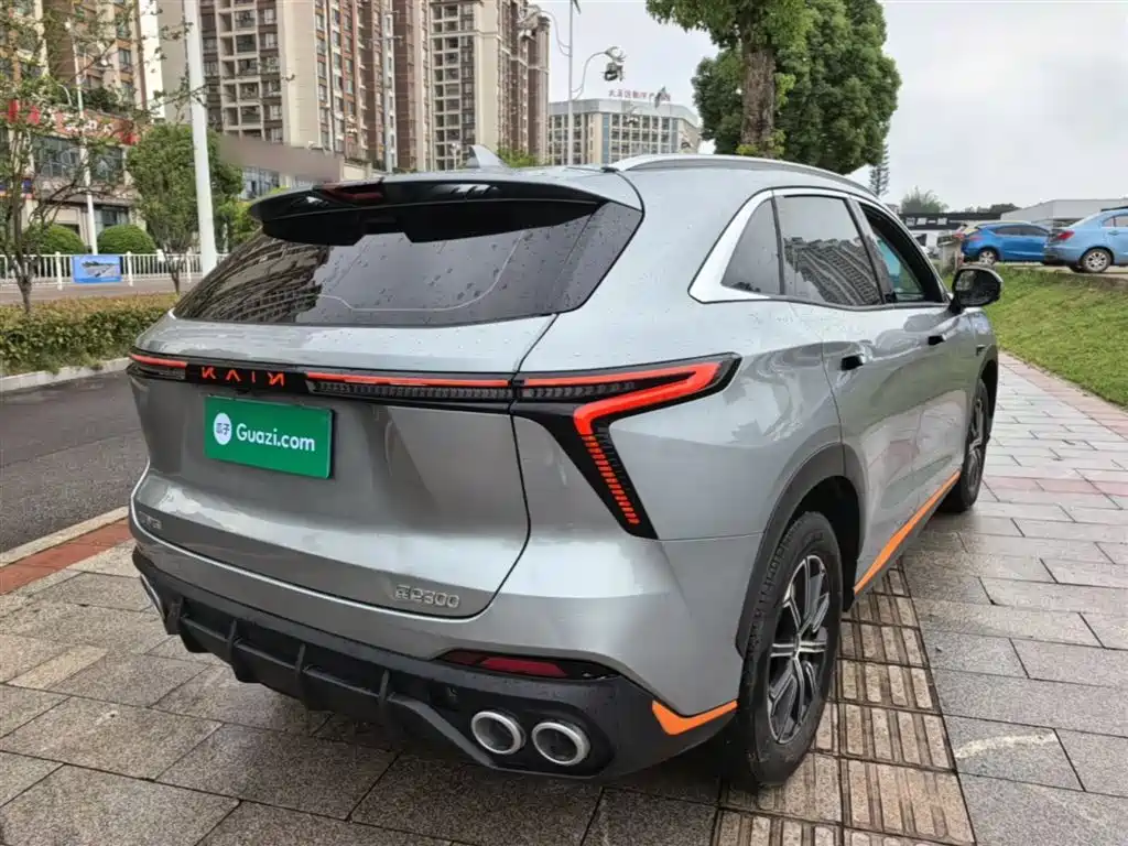 Cowin Kunlun — миниатюра 7