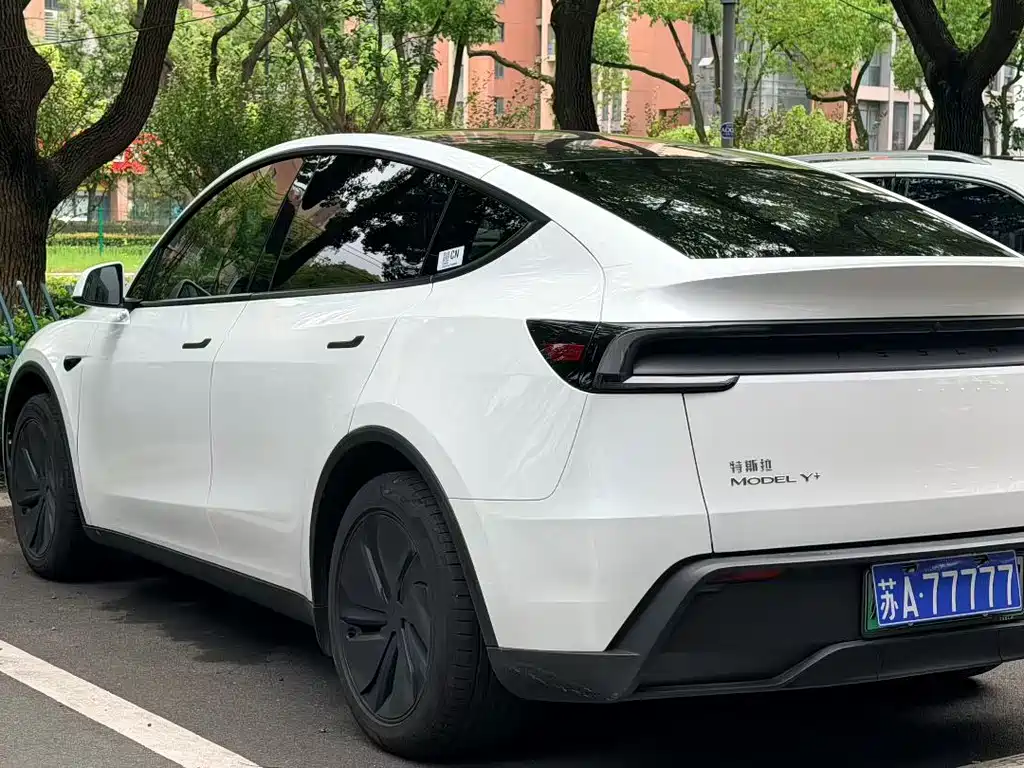 Tesla Model Y — миниатюра 7
