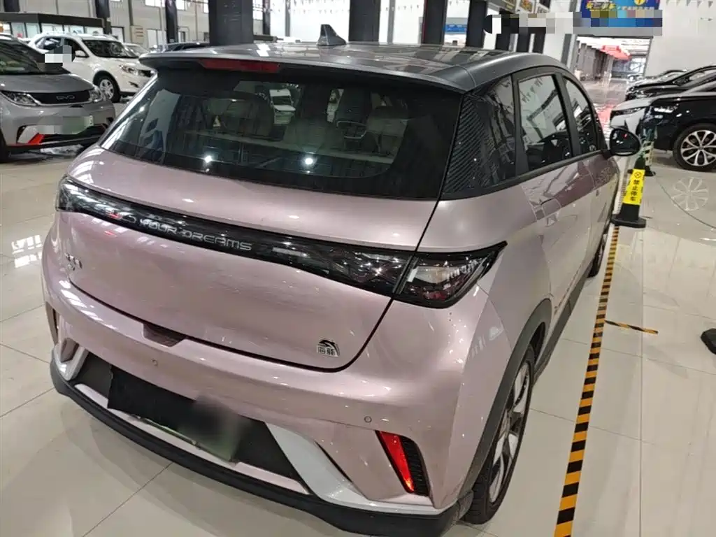 BYD Dolphin 2021 401km