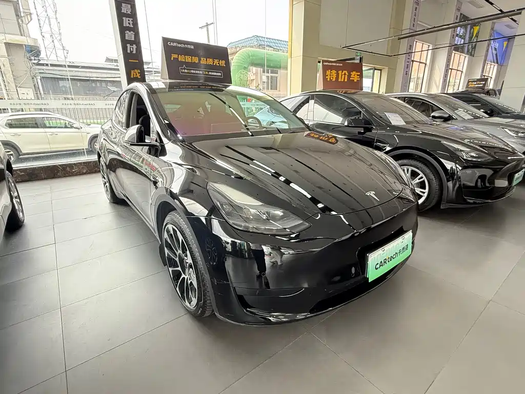 Tesla Model Y — миниатюра 3
