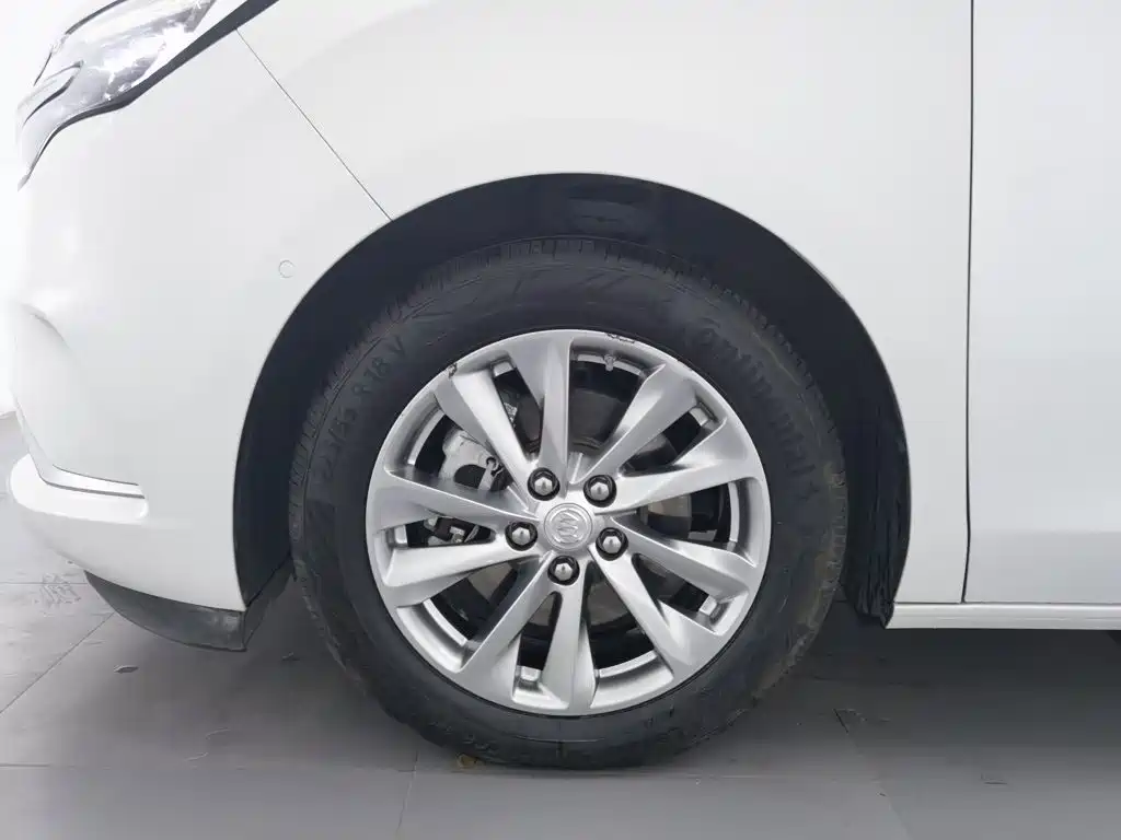 Buick GL8 — миниатюра 17
