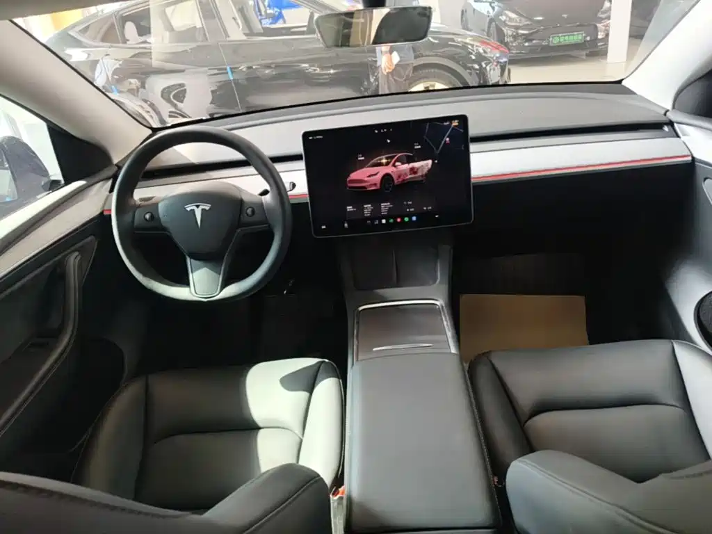 Tesla Model Y — миниатюра 10
