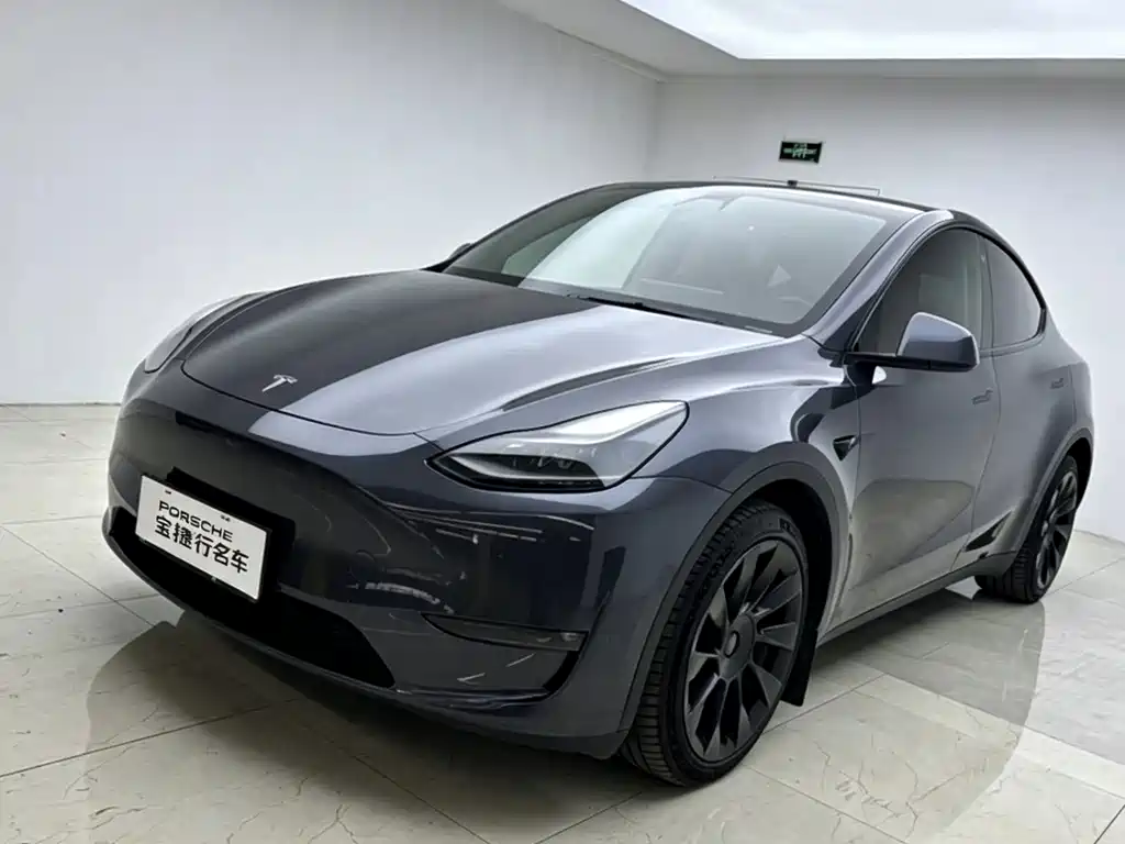 Tesla Model Y — миниатюра 2