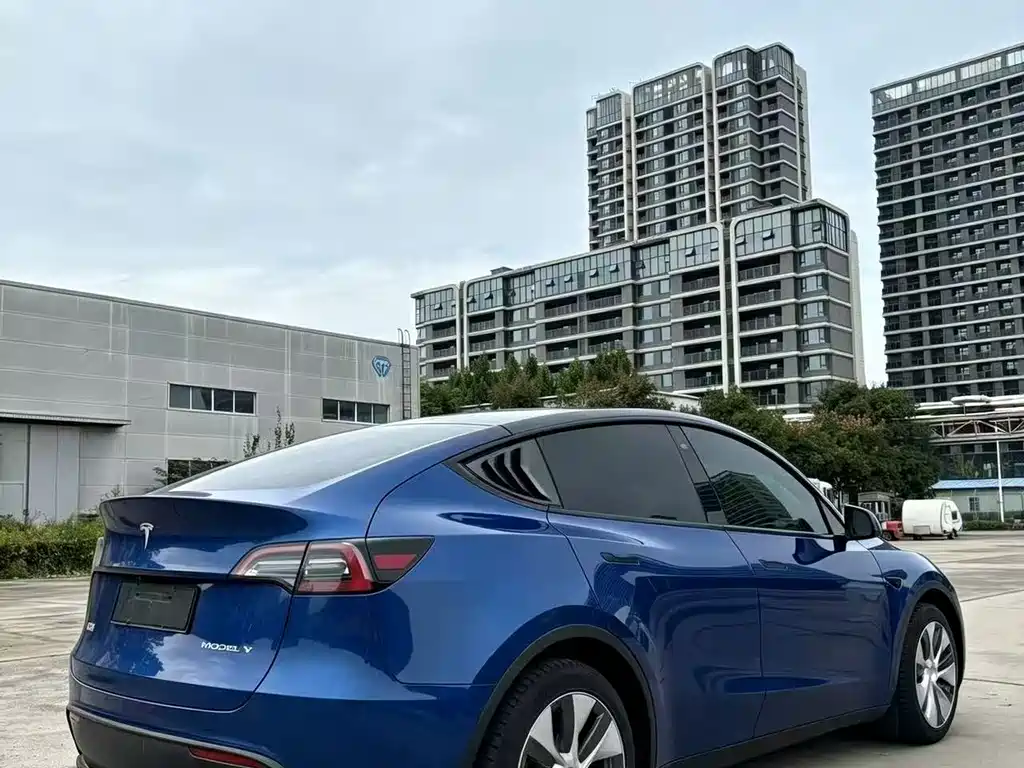 Tesla Model Y — миниатюра 7