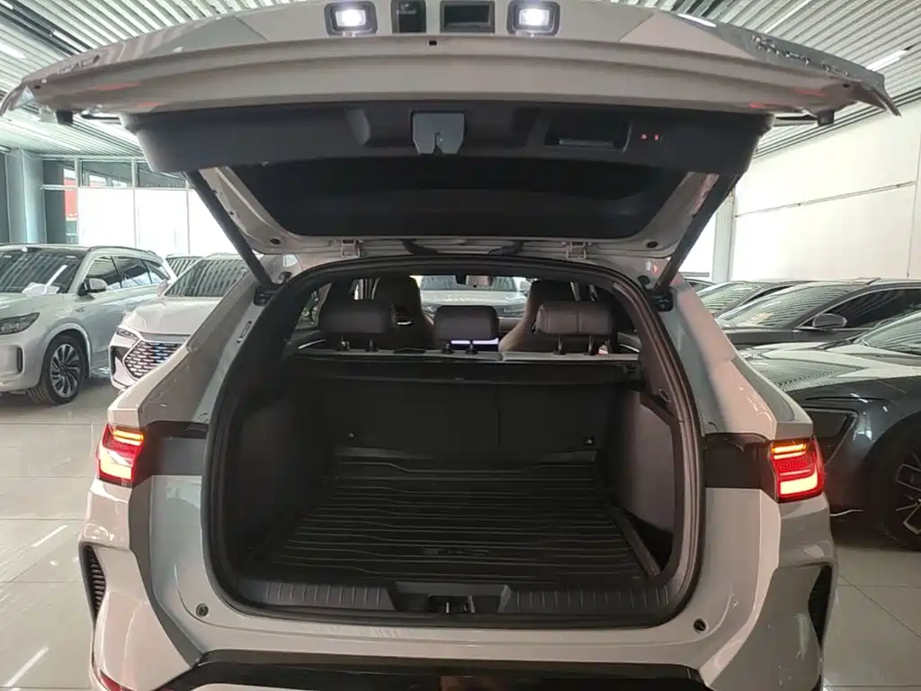BYD PLUS New Energy — миниатюра 19