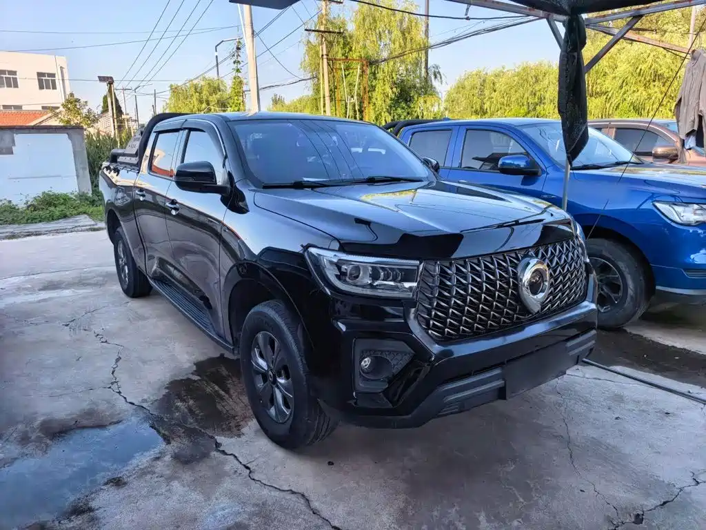 Great Wall Pao — миниатюра 10