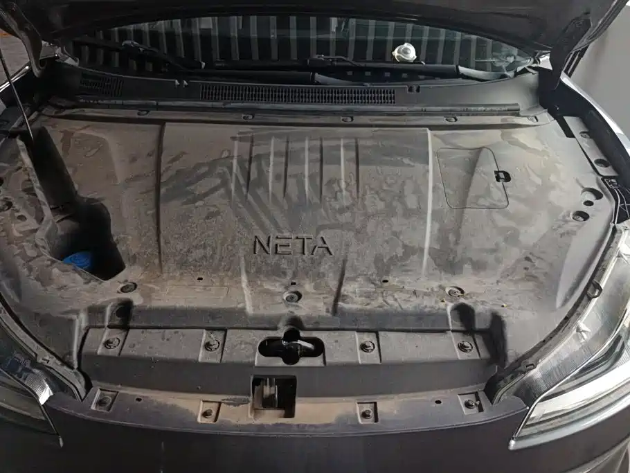 Neta Neta V — миниатюра 10