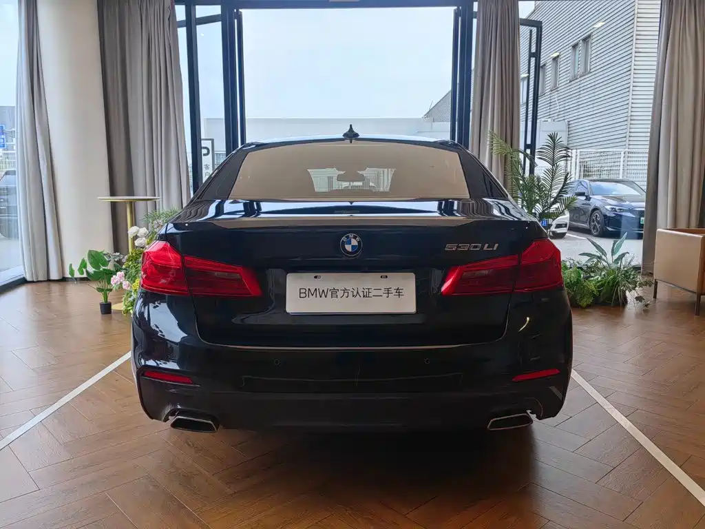 BMW 5 Series — миниатюра 5