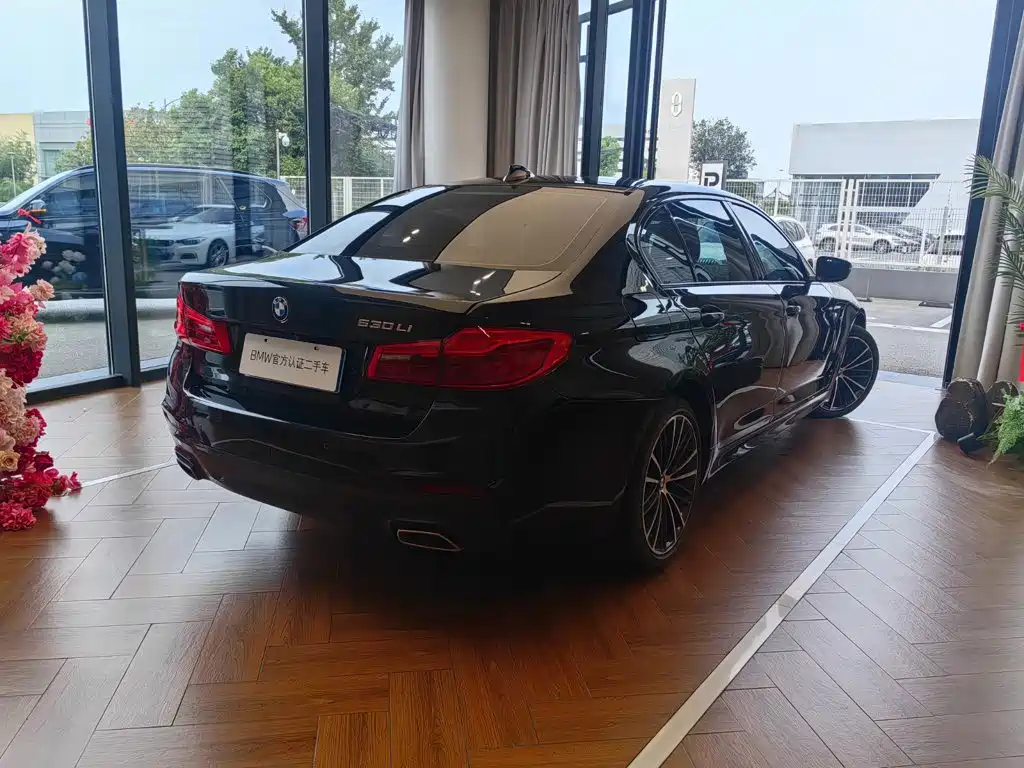BMW 5 Series — миниатюра 4