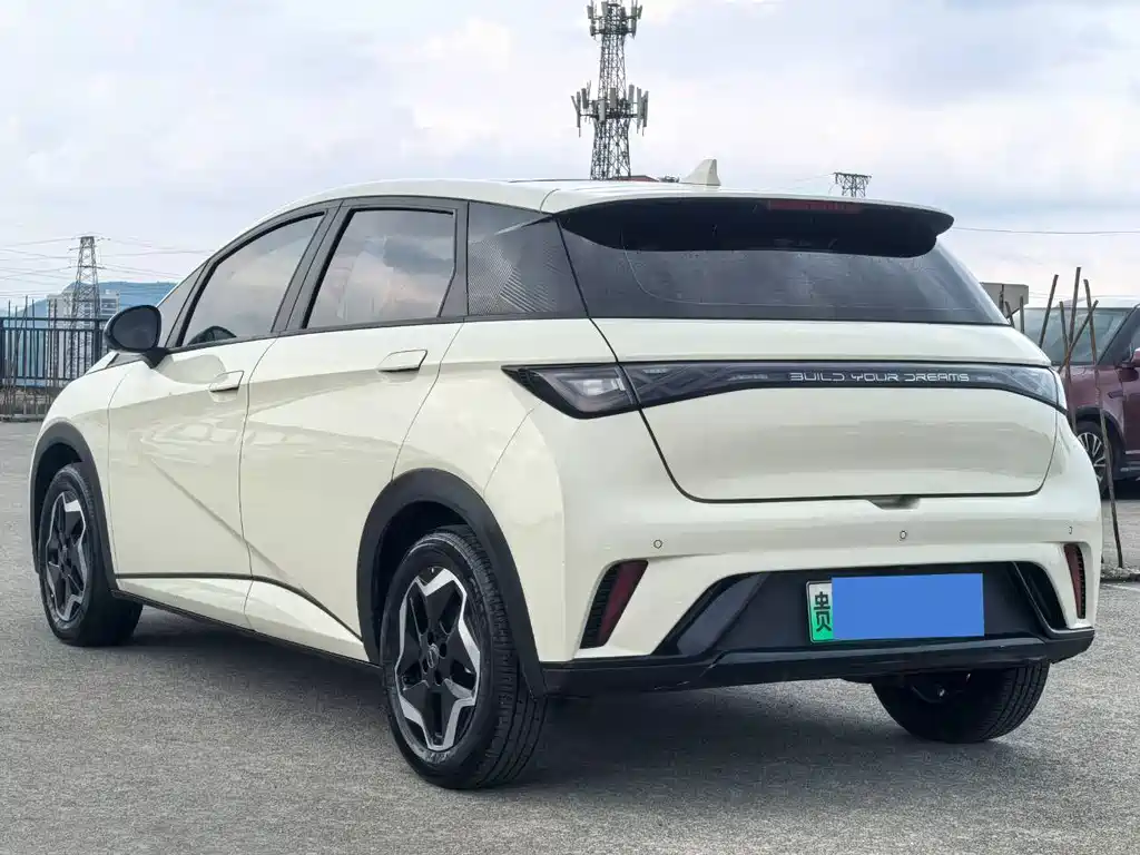 BYD Dolphin 2021 405km Fashion