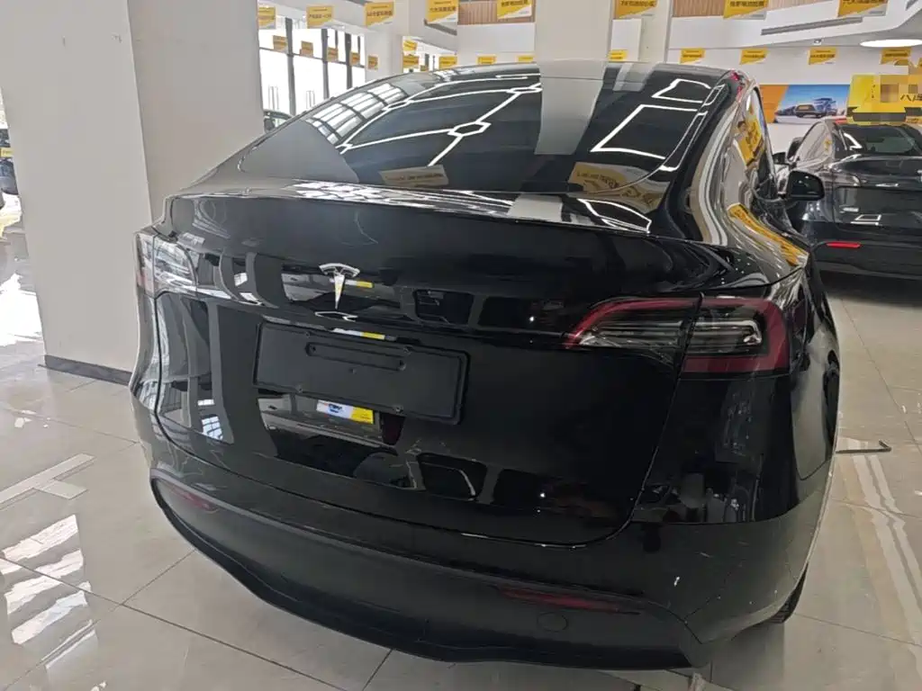 Tesla Model Y — миниатюра 6