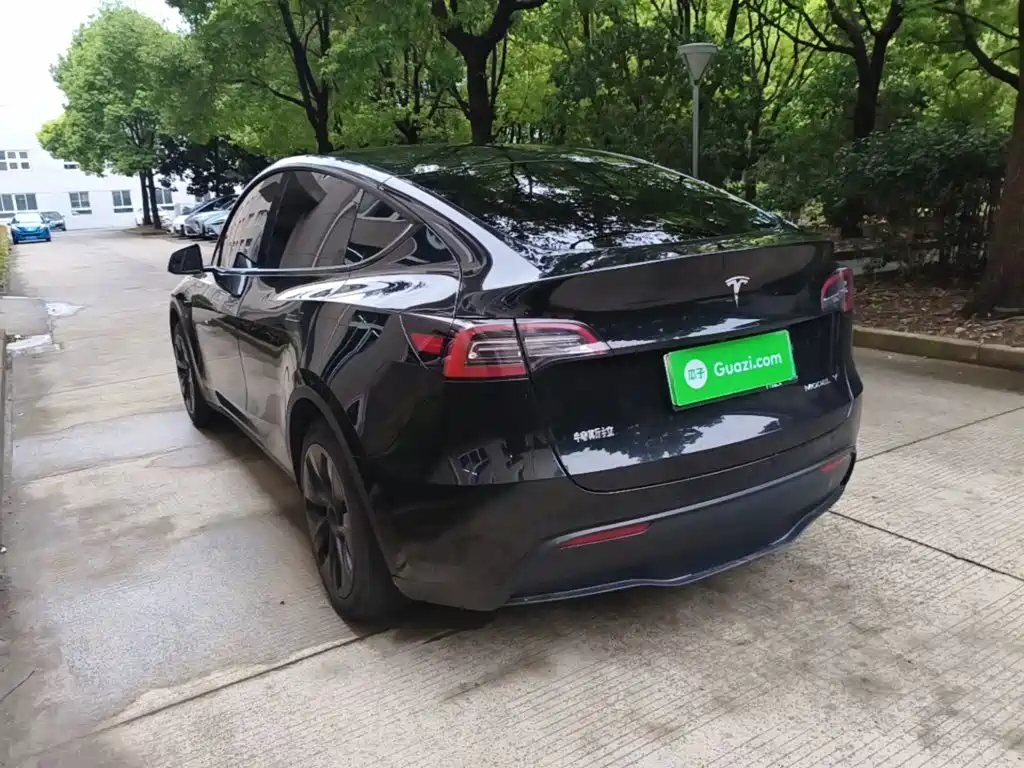 Tesla Model Y — миниатюра 5