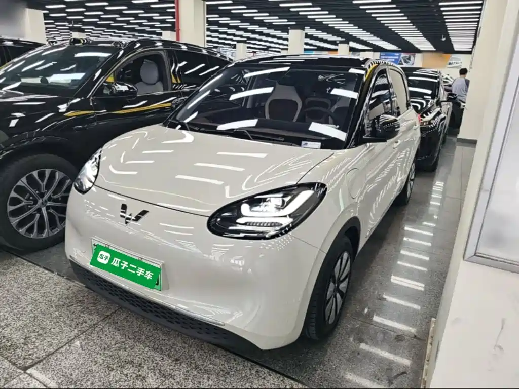 Wuling Binguo 2023 410km Premium