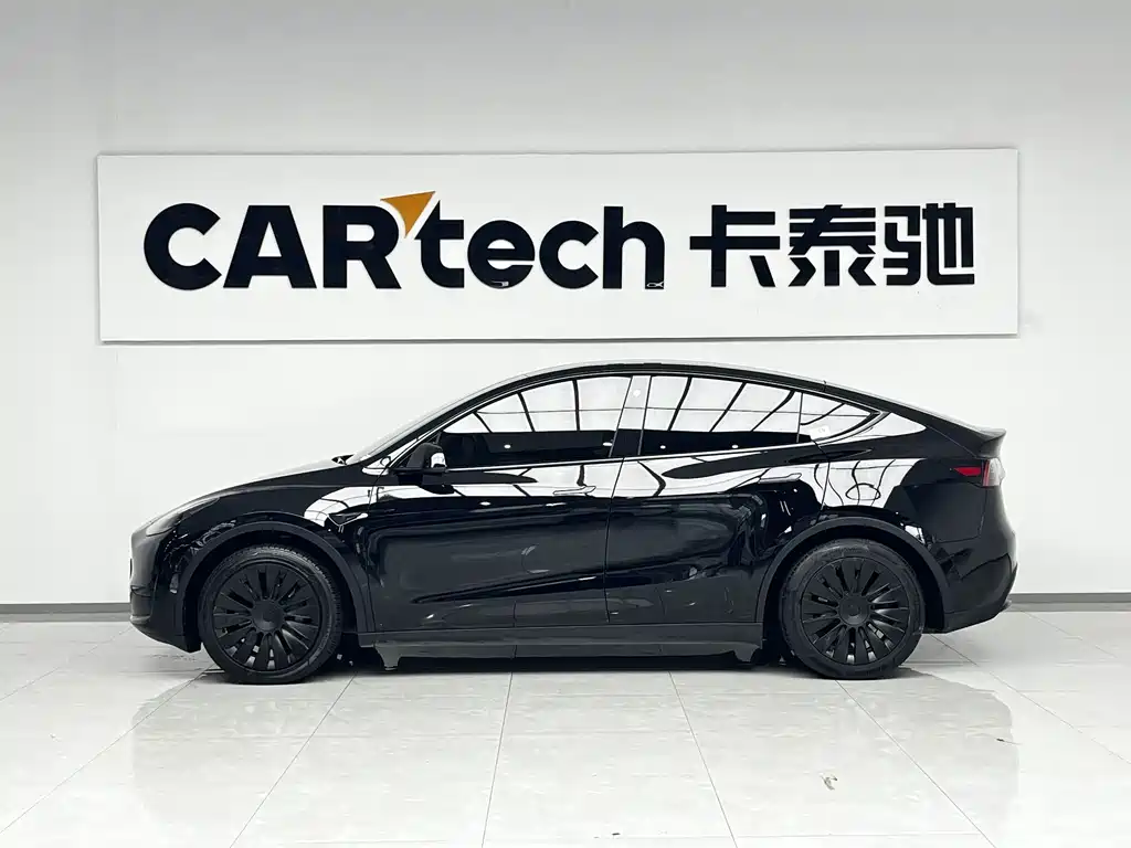 Tesla Model Y — миниатюра 4